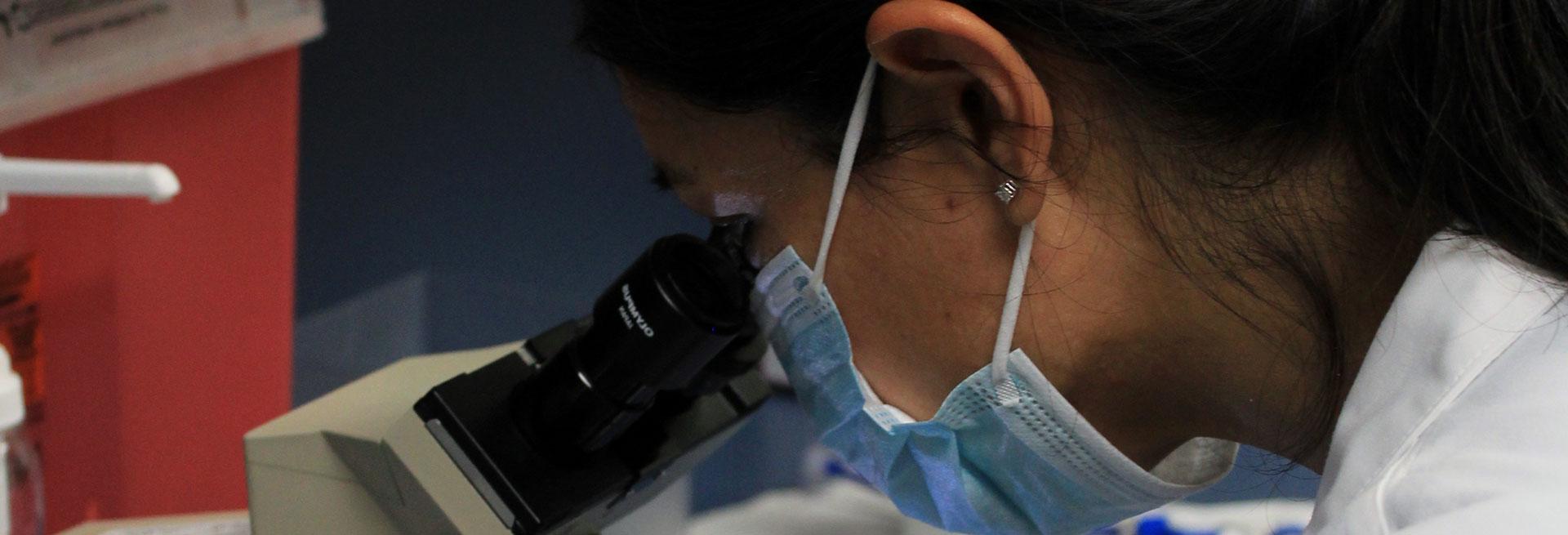 Researcher looking into a microscope